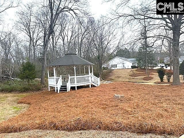 120 West Horn Court, Chapin, SC 29036