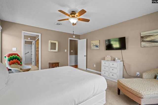 414 Wood Willow Point, Chapin, SC 29036
