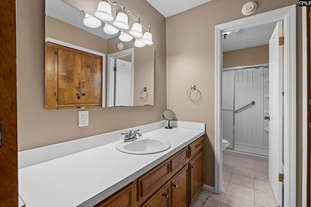 414 Wood Willow Point, Chapin, SC 29036