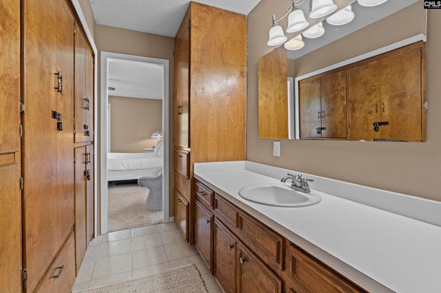 414 Wood Willow Point, Chapin, SC 29036