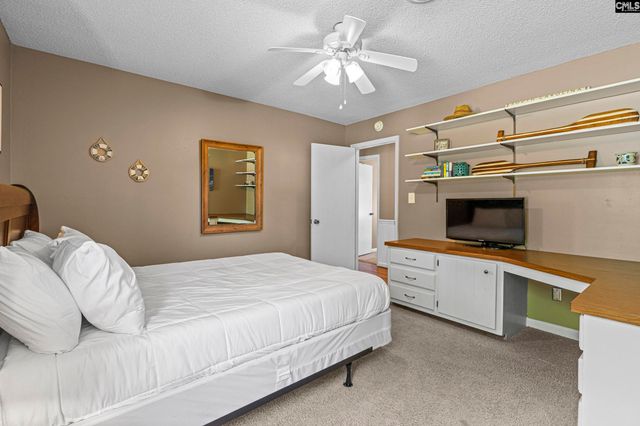 414 Wood Willow Point, Chapin, SC 29036