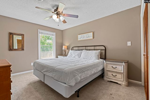 414 Wood Willow Point, Chapin, SC 29036