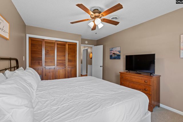 414 Wood Willow Point, Chapin, SC 29036