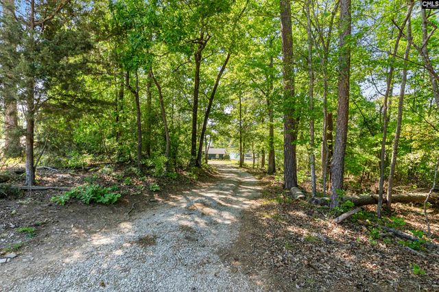 414 Wood Willow Point, Chapin, SC 29036