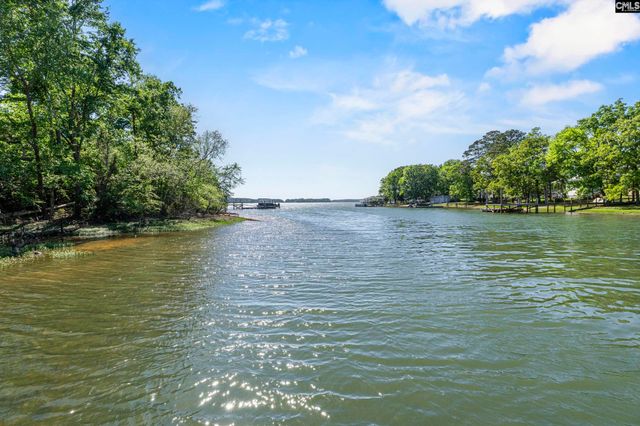 414 Wood Willow Point, Chapin, SC 29036