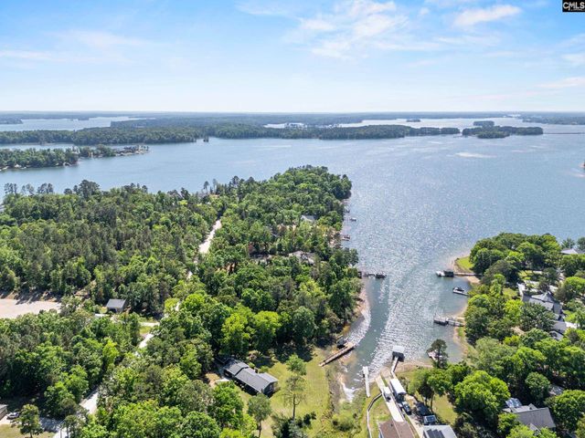 414 Wood Willow Point, Chapin, SC 29036