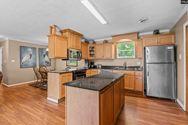 414 Wood Willow Point, Chapin, SC 29036