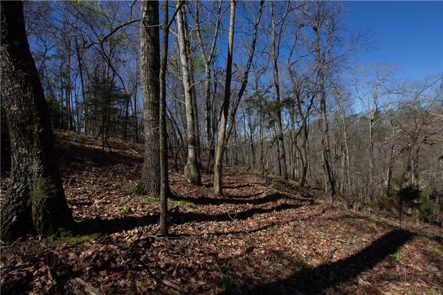 lots 8-10 Rocky Branch Road, Rogers, AR 72756