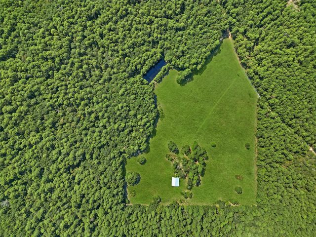 00 Forest Service Road 201, Cleveland, TX 77328