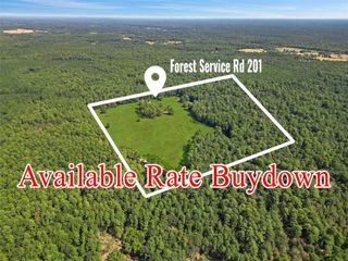 00 Forest Service Road 201, Cleveland, TX 77328