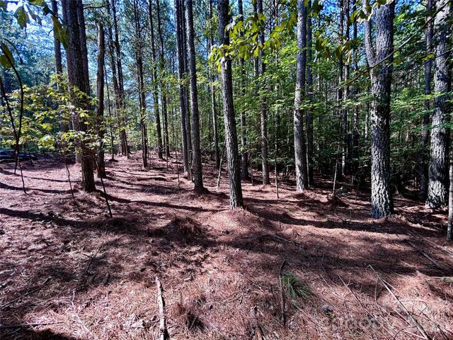 1461 Cordova Drive, Connelly Springs, NC 28612