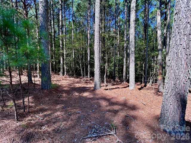 1461 Cordova Drive, Connelly Springs, NC 28612