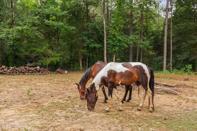 156 Cobbville Road, Canton, MS 39046