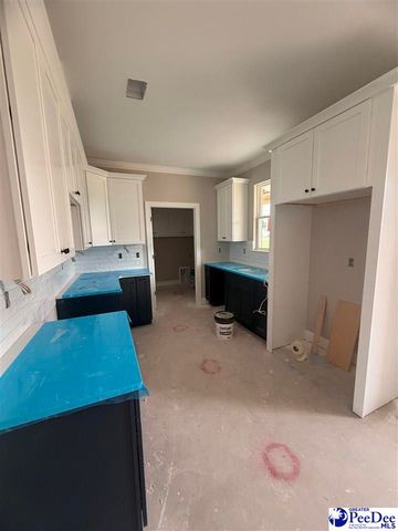 2333 W Billy Farrow Hwy, Hartsville, SC 29550