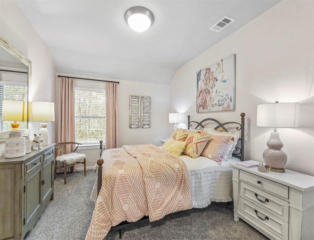 703 Campbell Crossing Court, Willis, TX 77318