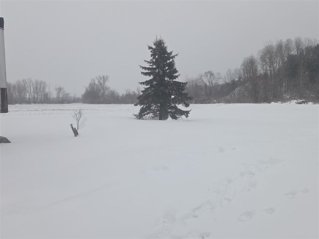 13774 S Maple Island Road, Twin Lake, MI 49457