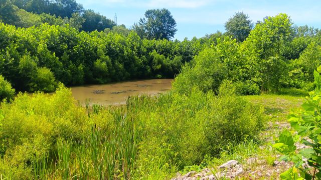 8397 Keystone Furnace Rd Road, (Catch and Relax Cabin), Jackson, OH 45640