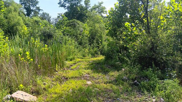 8397 Keystone Furnace Rd Road, (Catch and Relax Cabin), Jackson, OH 45640