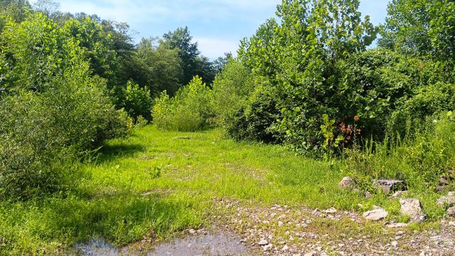 8397 Keystone Furnace Rd Road, (Catch and Relax Cabin), Jackson, OH 45640