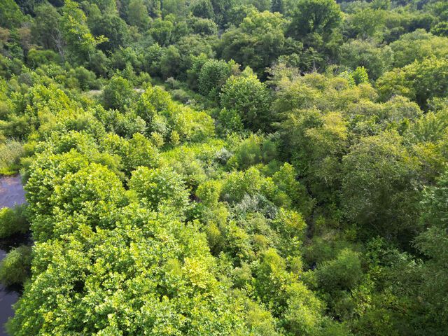 8397 Keystone Furnace Rd Road, (Catch and Relax Cabin), Jackson, OH 45640