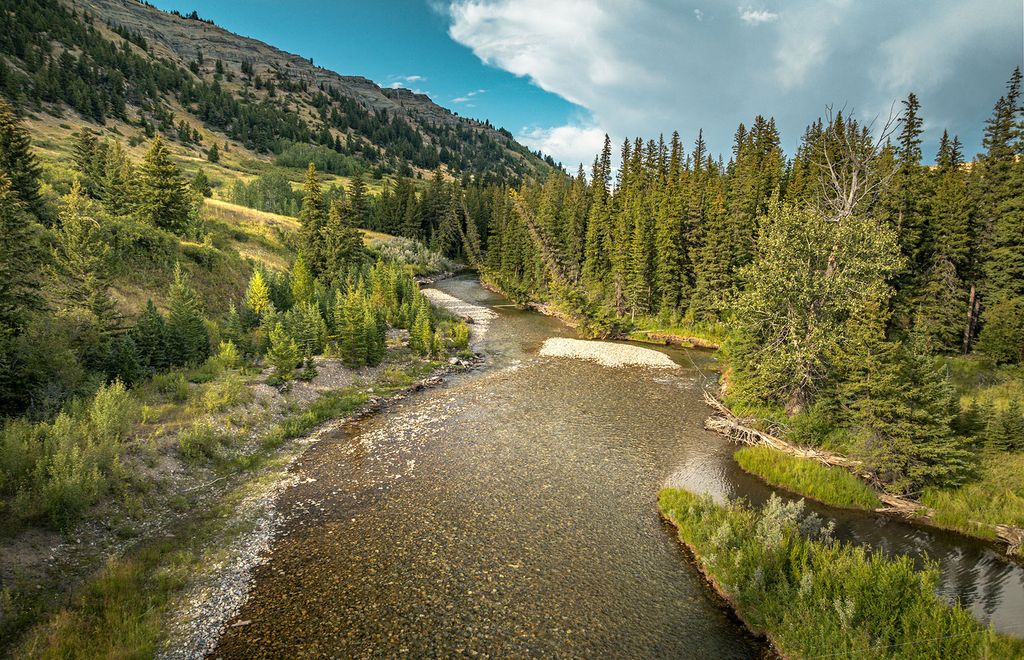 12 Highland Road, Mcleod, MT 59052 photo 38