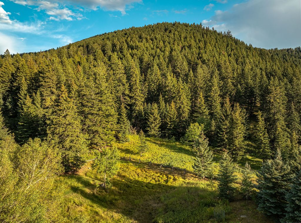 12 Highland Road, Mcleod, MT 59052 photo 45