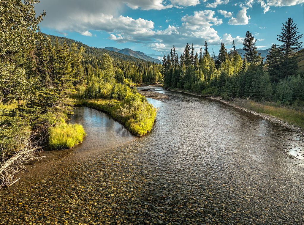 12 Highland Road, Mcleod, MT 59052 photo 6