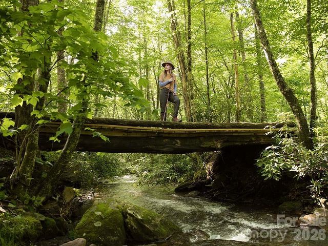 146 E Clubhouse Road 99, Sylva, NC 28779