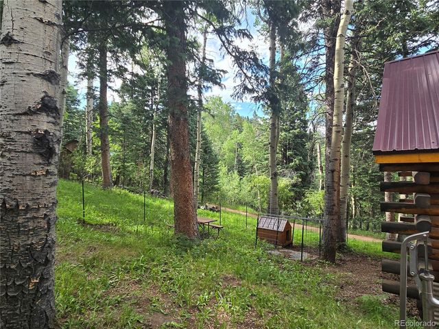 9626 State Highway 165, Rye, CO 81069