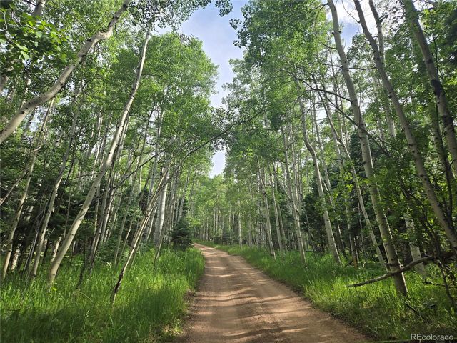 9626 State Highway 165, Rye, CO 81069