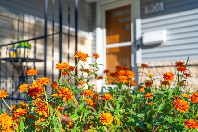 1806 Sachtjen Street, Madison, WI 53704