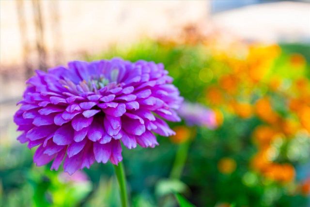 1806 Sachtjen Street, Madison, WI 53704