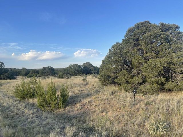 L5 B7 Rocky Mountain Dr, Walsenburg, CO 81089