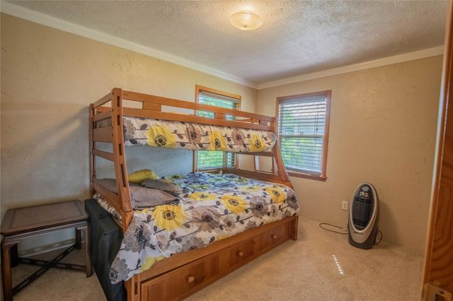 202 Willie Cook Street, Livingston, TX 77351