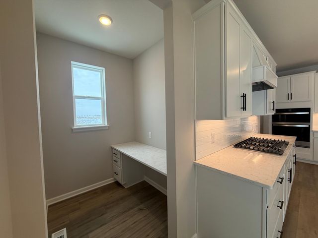 15012 Ashtown Lane, Rosemount, MN 55068