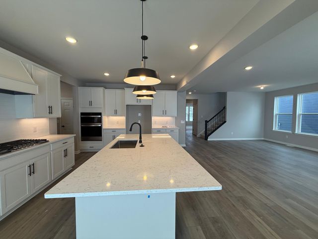 15012 Ashtown Lane, Rosemount, MN 55068