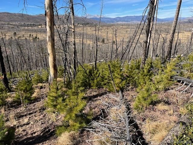 Lot 1741 Mathlide Place, Fort Garland, CO 81133