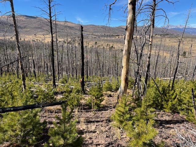 Lot 1741 Mathlide Place, Fort Garland, CO 81133