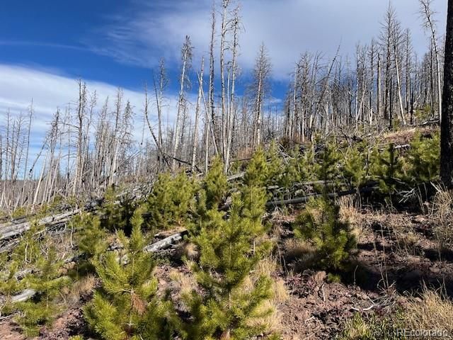 Lot 1741 Mathlide Place, Fort Garland, CO 81133