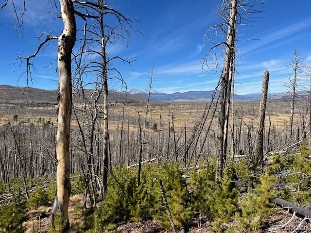 Lot 1741 Mathlide Place, Fort Garland, CO 81133