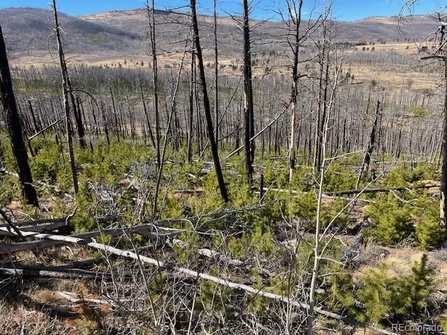 Lot 1741 Mathlide Place, Fort Garland, CO 81133