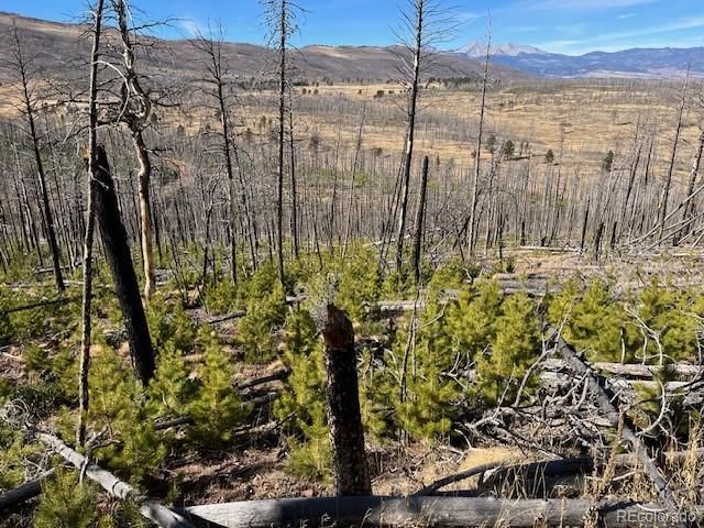 Lot 1741 Mathlide Place, Fort Garland, CO 81133