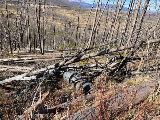 Lot 1741 Mathlide Place, Fort Garland, CO 81133