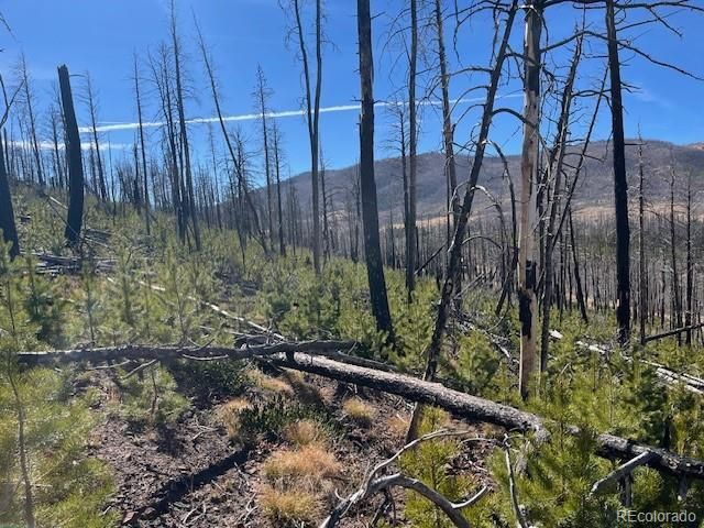 Lot 1741 Mathlide Place, Fort Garland, CO 81133