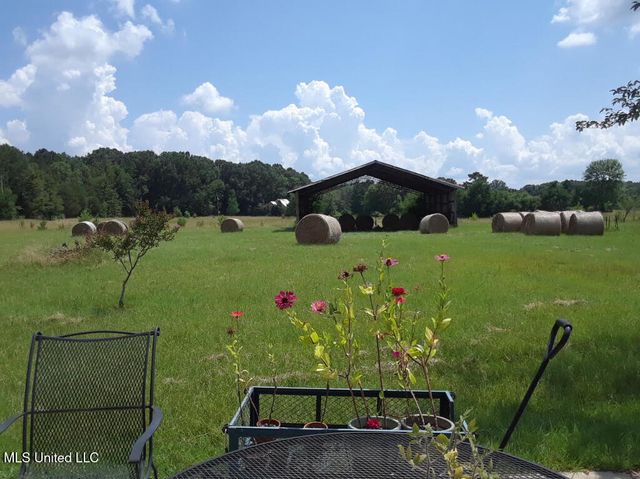 111 Saddlebrook Trail, Terry, MS 39170