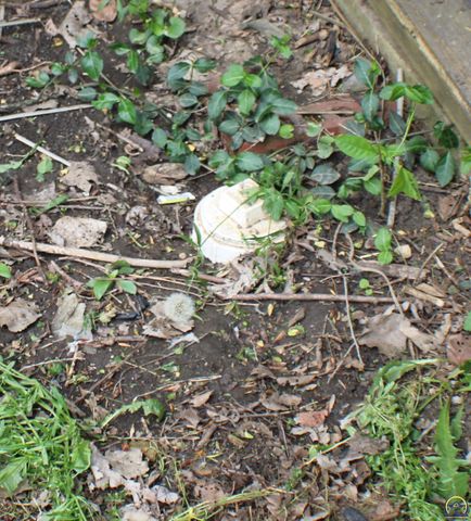 3371 SW Kirklawn AVE, Topeka, KS 66611