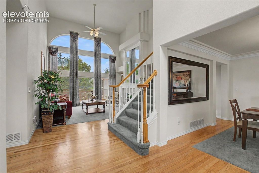 2251 Mankato Court, Colorado Springs, CO 80918 — photo 3