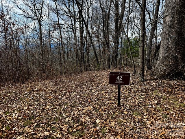 00 Lone Oak Ridge 42, Franklin, NC 28734