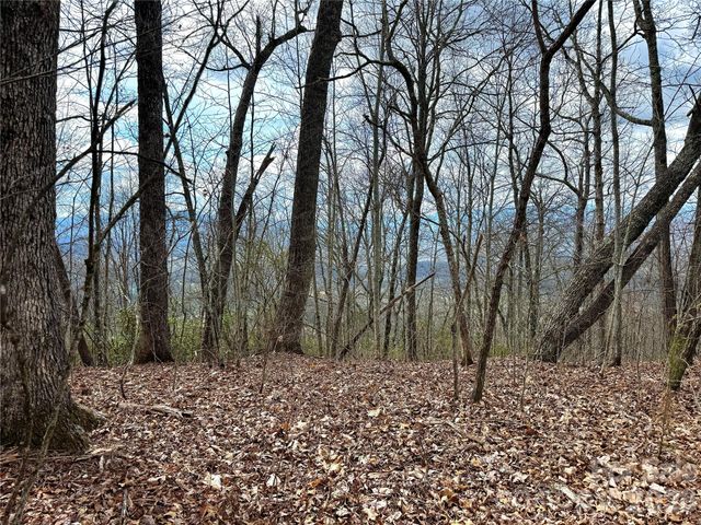 00 Lone Oak Ridge 42, Franklin, NC 28734
