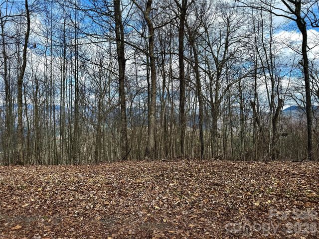 00 Lone Oak Ridge 42, Franklin, NC 28734